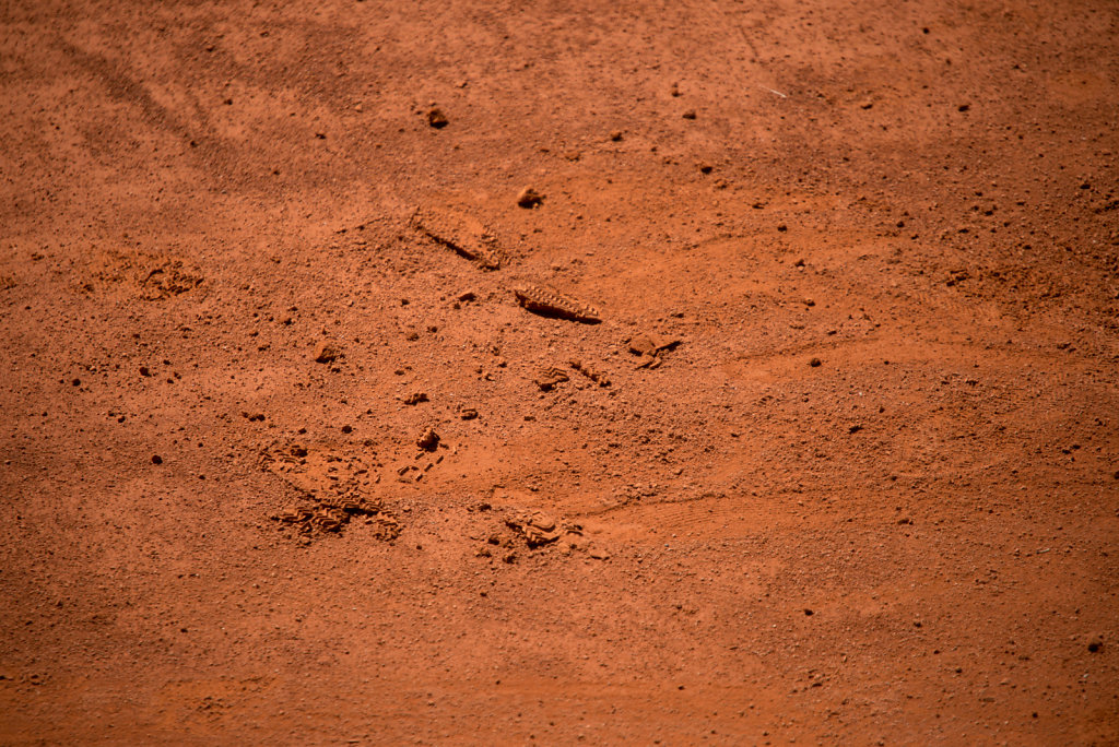 DSC-6294.jpg