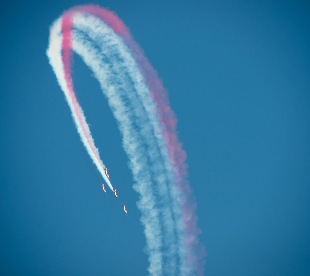 DSC-8420.jpg