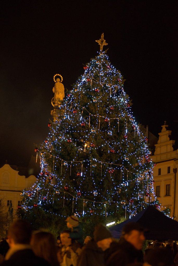DSC-3477.jpg