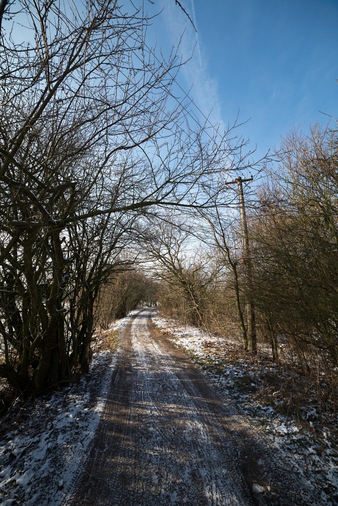 DSC-5730.jpg
